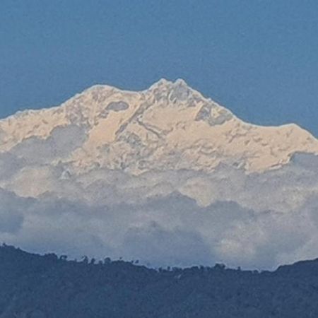 New Bloom Homestay Kurseong Экстерьер фото