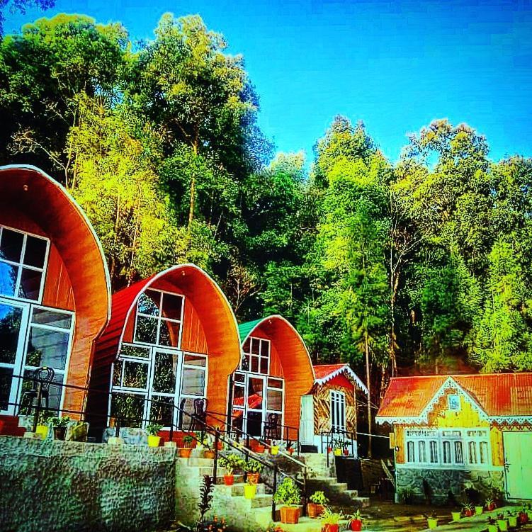 New Bloom Homestay Kurseong Экстерьер фото