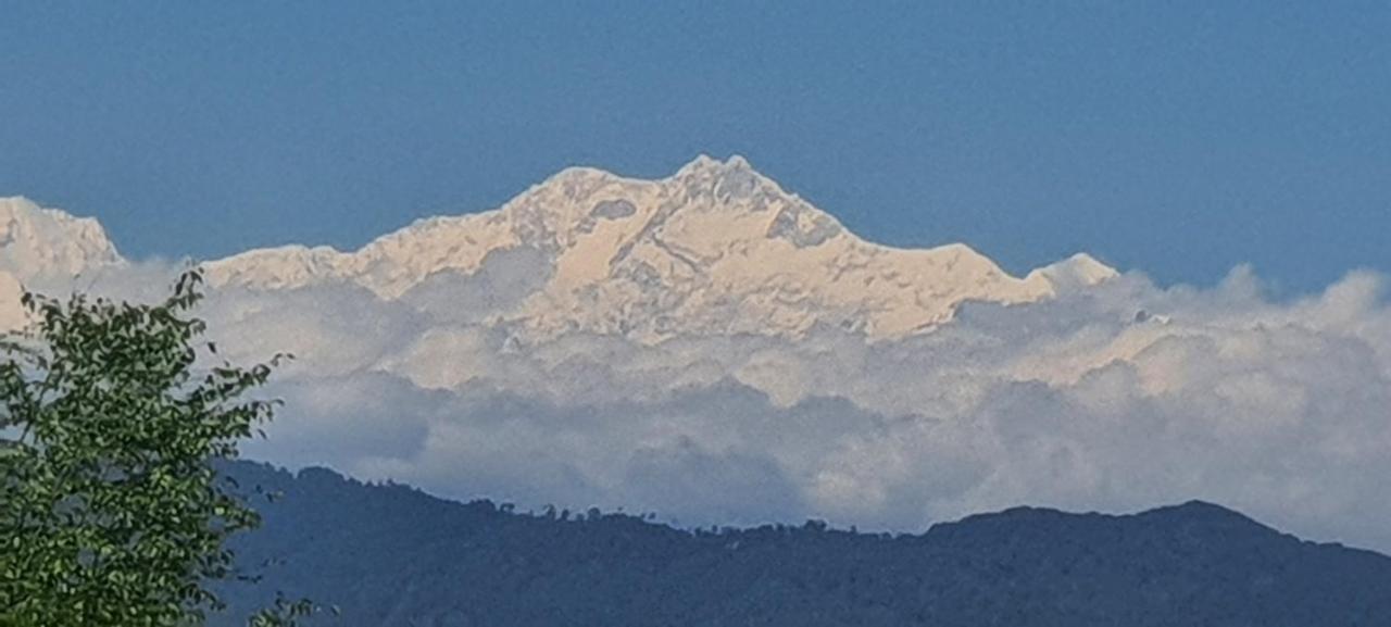 New Bloom Homestay Kurseong Экстерьер фото