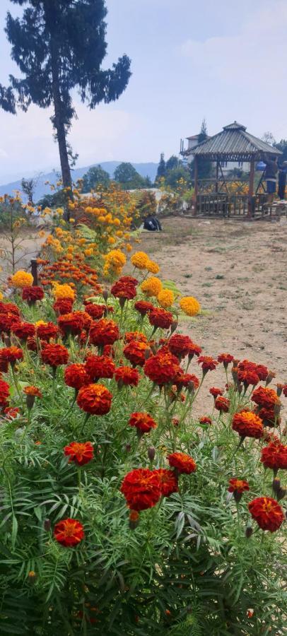 New Bloom Homestay Kurseong Экстерьер фото