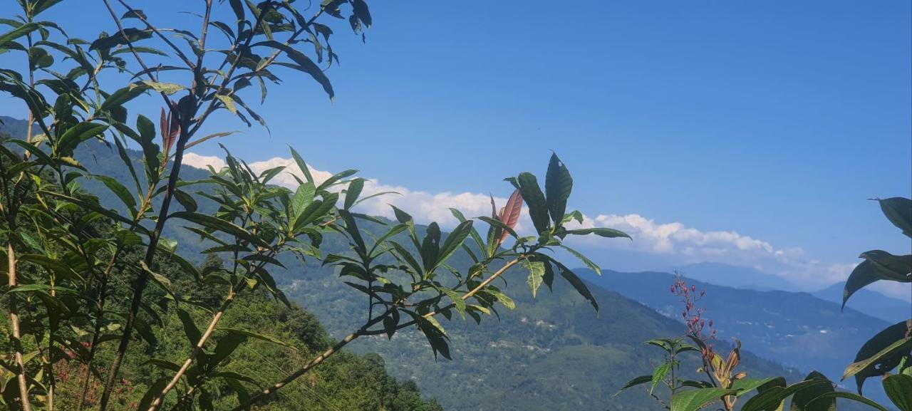 New Bloom Homestay Kurseong Экстерьер фото